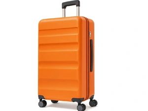 Large 28 suitcase